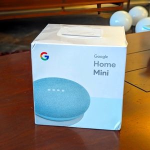 Google Home Mini- Aqua